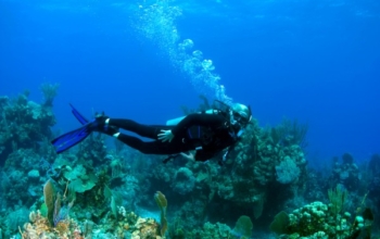 3D2N-gedeelde tour in Banyuwangi